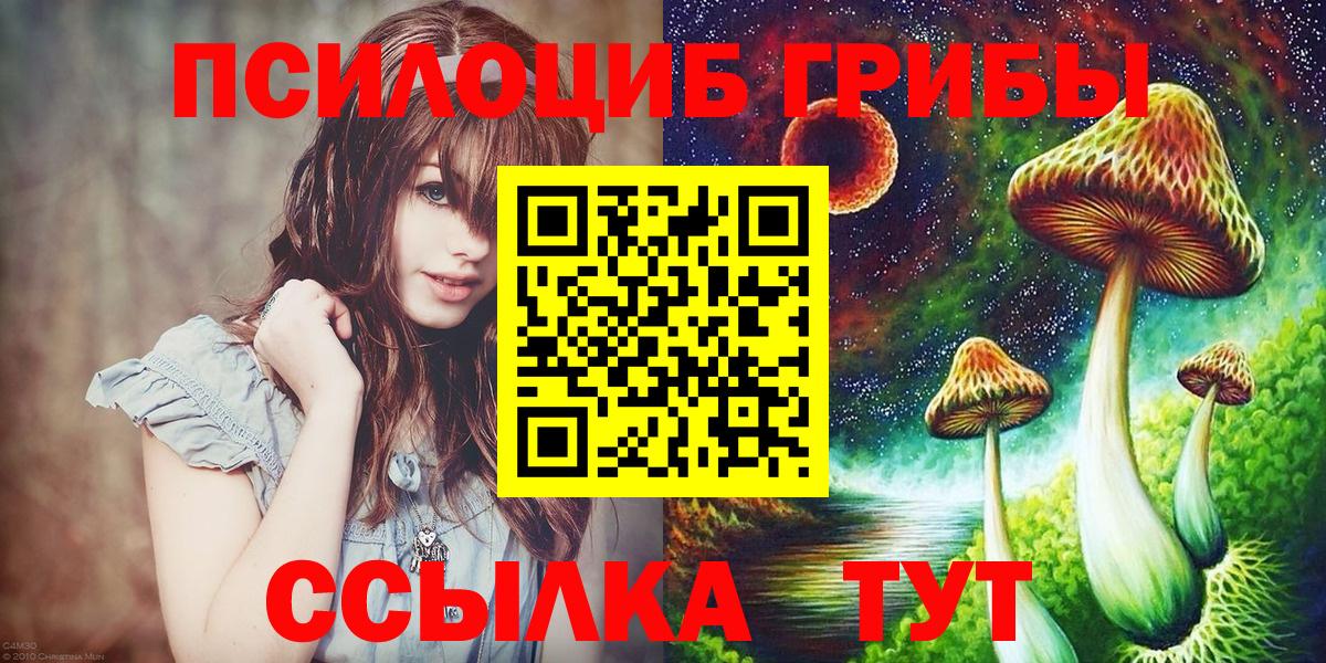 Рубцовск  Галлюциногенные грибы прущие грибы  Вход с VPN  Галлюциногенные грибы прущие грибы 